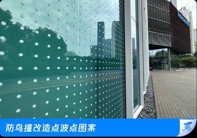 腾讯启动防鸟撞改造，上传防鸟撞设计共享工具包2023年世界候鸟日，腾讯在深圳总部滨海大厦外侧玻璃幕墙，进行了鸟类友好建筑设计的大规模改造，粘贴1面2层楼高的防鸟撞波点贴纸