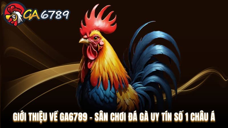 GA6789 AV4 | Nhà Cái Cá Cược Đá Gà Thomo Hot Nhất 2025