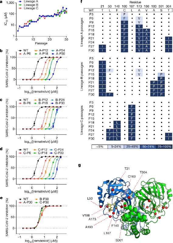 Multiple pathways for SARS-CoV-2 resistance to nirmatrelvir