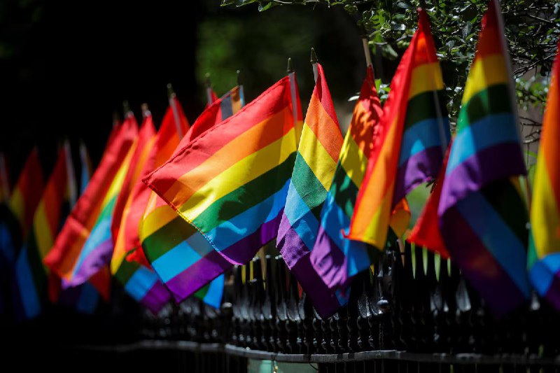 美国最高法院判定家长有权让孩子不参加有 LGBT 故事书的课程美国最高法院在周五裁定支持马里兰州的基督徒和穆斯林家长，这些家长起诉希望他们的小学生可以不参加某些课堂——那些阅读有 LGBT 角色的故事书的课堂