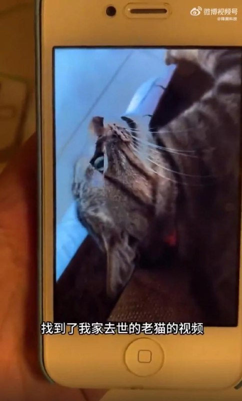 锁了十年的 iPhone 4s 终于解锁，寻回已故爱猫影片意外发现珍贵回忆博主在影片中回忆道，这部 iPhone 4s 在 2015 年被莫名锁定，当时显示需要等待 8 万多小时才能解锁