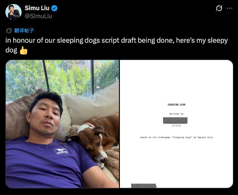 游戏《热血无赖》改编电影剧本草稿已完成演员刘思慕发文表示，热血无赖（Sleeping Dogs）的剧本草稿已完成