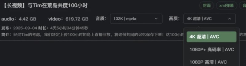 影视飓风上传可能是B站最大的视频影视飓风已将创始人Tim的荒岛生存100小时直播回放上传，4K版大小达619G