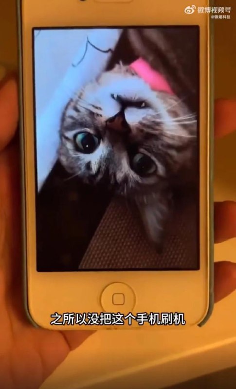 锁了十年的 iPhone 4s 终于解锁，寻回已故爱猫影片意外发现珍贵回忆博主在影片中回忆道，这部 iPhone 4s 在 2015 年被莫名锁定，当时显示需要等待 8 万多小时才能解锁