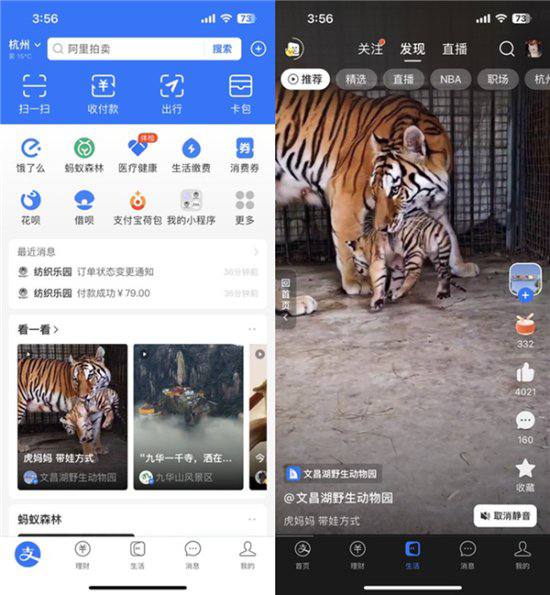 支付宝首页能直接刷短视频了：新增“看一看”入口via ㅤㅤㅤㅤㅤ ㅤㅤㅤㅤㅤ🗒 标签: #支付宝 #短视频📢 频道: @GodlyNews1🤖 投稿: @GodlyNewsBot