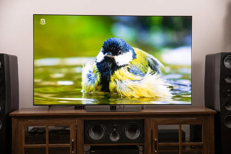 不只是 LG，所有电视厂商都在监视你并非所有智能电视都像 Gamers Nexus 所说的那样容易被破解，但除非你主动选择退出，否则它们都会追踪你观看的内容