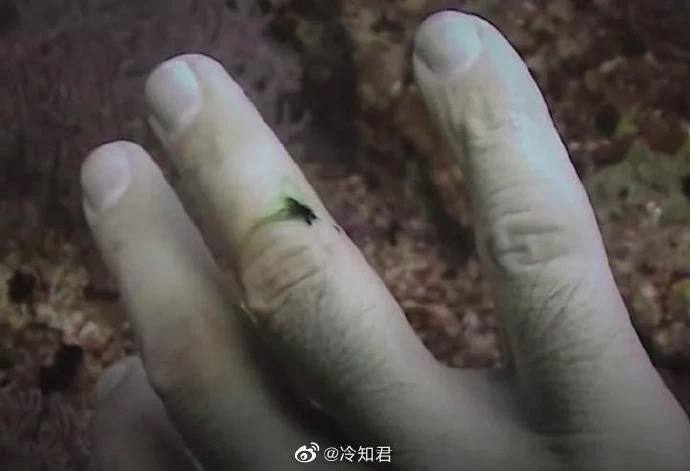 当在水下约15米左右的情况下出现了伤口，血液看起来就像是一种诡异的浅绿色