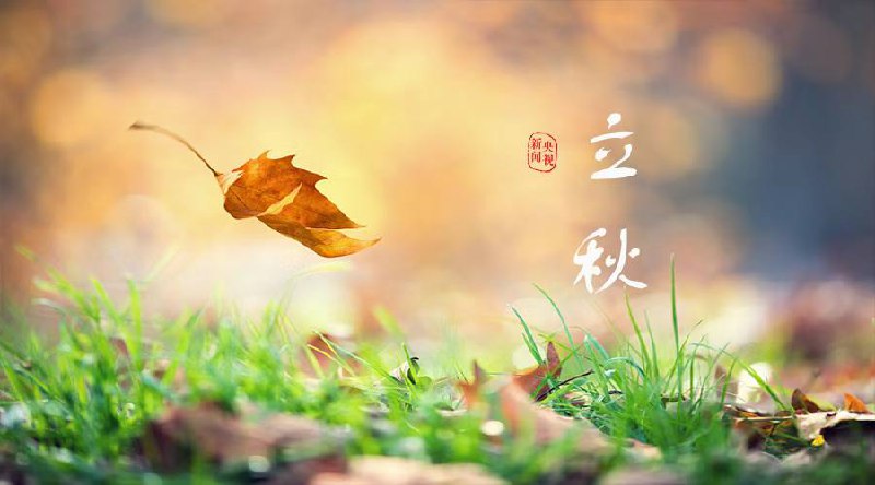 今日立秋