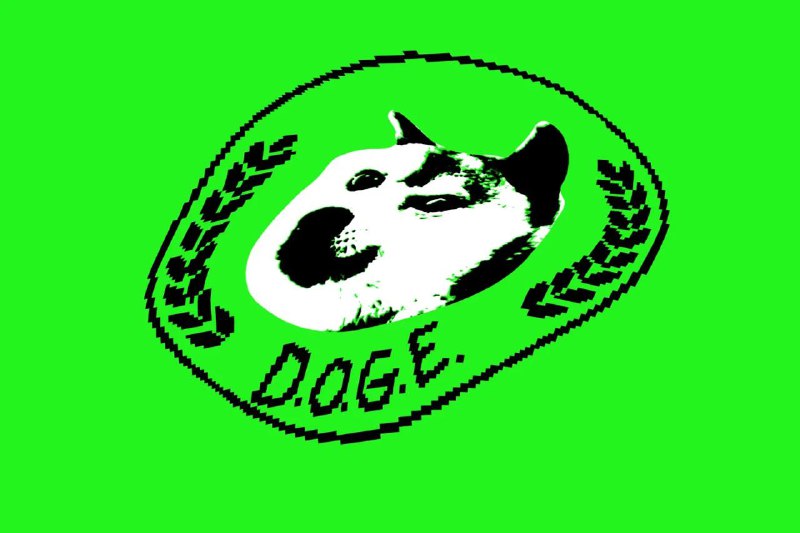 DOGE 员工获得移民局数据访问权限据 FedScoop 报导，四位政府效率部（DOGE）的工作人员可以访问大量与移民相关的数据
