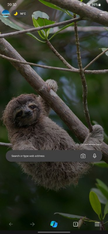 移动端 Edge 的 Bing AI 更换图标了via Danielbility🗒 标签: #Bing📢 频道: @GodlyNews1🤖 投稿: @GodlyNewsBot