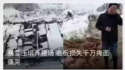 知情人士称“暴雪想让网易打白工”🗒 标签: #暴雪 #网易 #停服📢 频道: @GodlyNews1🤖 投稿: @GodlyNewsBot