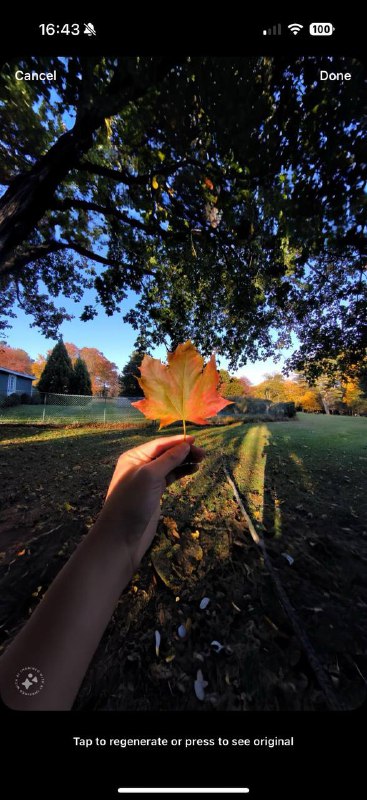 Instagram 新增AI 扩图工具