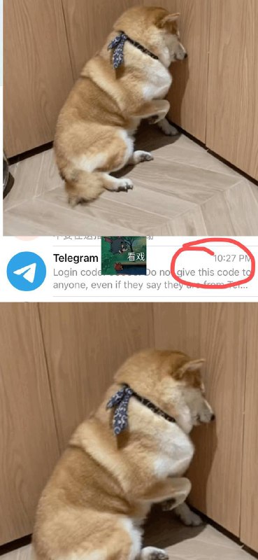 警惕 Telegram 新型盗号方式，一般是冒充熟人，大家注意一下 刚刚遇到一个盗号的这个人呢，是我的一个朋友，账号可能已经被盗了，然后我这边的手机号是暴露的，他在其他地方发送了验证码，然后他让我搜 “give_else” 这个关键词 但是，登录的验证码的消息中有“give”的字样，因此 登录的验证码 会连带搜出来