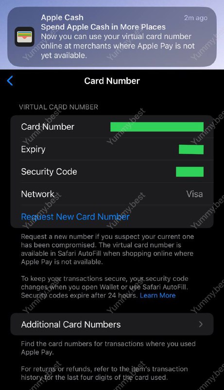 Apple Cash 推出虚拟卡，在线支付时可使用该虚拟卡向尚未支持Apple Pay的商家使用Apple Pay付款支持重新生成全新的卡号以及CVVBin: 429544