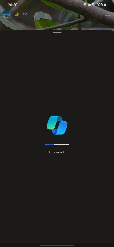 移动端 Edge 的 Bing AI 更换图标了via Danielbility🗒 标签: #Bing📢 频道: @GodlyNews1🤖 投稿: @GodlyNewsBot