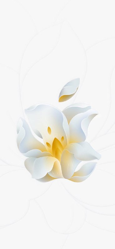 库克目前在上海，可能会参加今晚7点Apple静安店的开幕仪式🗒 标签: #Apple📢 频道: @GodlyNews1🤖 投稿: @GodlyNewsBot