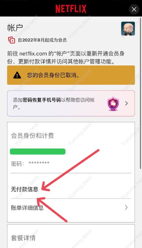 Netflix 正在清退跨区订阅埃及的用户与此前 清退巴基斯坦用户 一致，不会收到邮件，需要自行到帐户中心查看会员资格是否已被取消