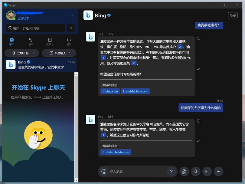 Skype 里也直接可以用 New Bingvia 匿名🗒 标签: #Skype #Bing📢 频道: @GodlyNews1🤖 投稿: @Godlynewsbot